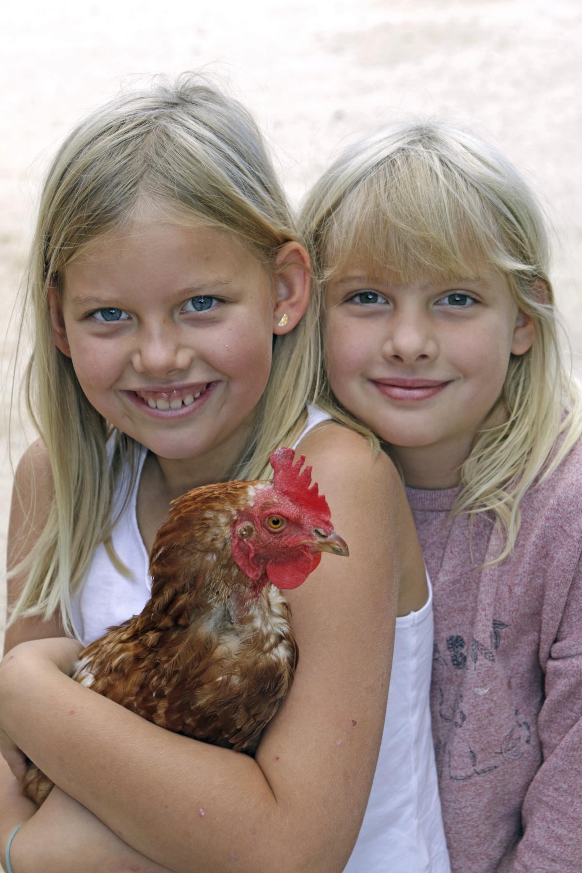 Zwei lachende Mädchen mit einem Huhn im Arm